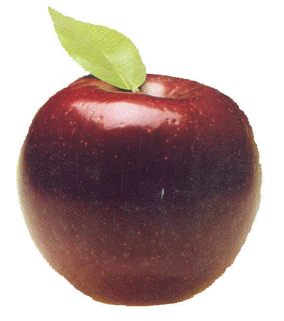 red-apple2.gif